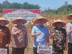 Wali Kota Lubuk Linggau Panen Raya Jagung Kuartal II Dukung Swasembada Pangan 2025