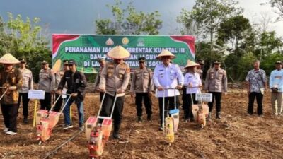 Penanaman Jagung Serentak Secara Virtual Mendukung Swasembada Pangan 2025