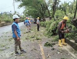 PLN ULP Muratara Lakukan Pembersihan Jalur Listrik di Sepanjang Jalan Lintas Sumatera