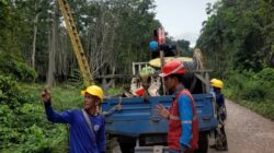 PLN ULP Kayu Agung Tingkatkan Keandalan Listrik di Tulung Selapan Lewat Uprating Penyulang Tenggiri