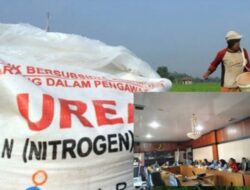 Dugaan Penjualan Pupuk Bersubsidi Di atas Het, DPRD Panggil Dinas Terkait