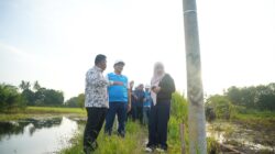 PLN Kawal Tuntas Pembangunan Infrastruktur Kelistrikan Desa Pedamaran Kabupaten OKI