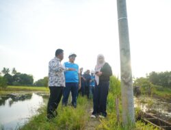 PLN Kawal Tuntas Pembangunan Infrastruktur Kelistrikan Desa Pedamaran Kabupaten OKI