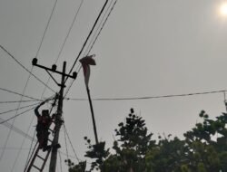 PLN ULP Tebing Tinggi Lakukan Penyeimbangan Beban Trafo dan Penarikan JTR untuk Jaga Mutu Tegangan
