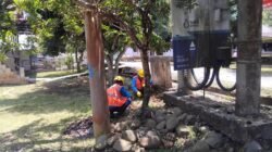 PLN ULP Tebing Tinggi Lakukan Penyeimbangan Beban Trafo dan Perbaikan Grounding di Saling