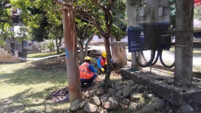 PLN ULP Tebing Tinggi Lakukan Penyeimbangan Beban Trafo dan Perbaikan Grounding di Saling